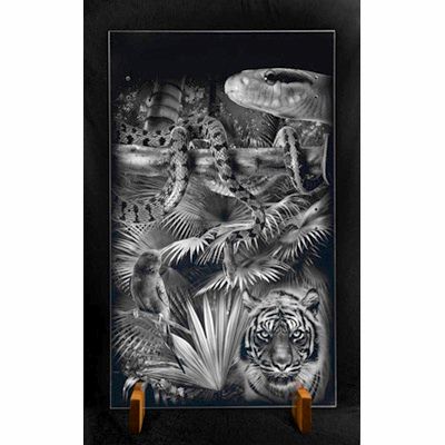 Glass Panel