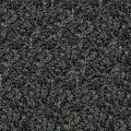 African Black