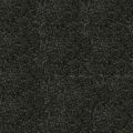 Starlight Black