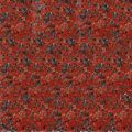 African Red