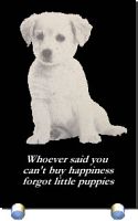 Laser Etched Marble Stone Pet Portrait Laser Etched Marble Stone Pet Portrait
