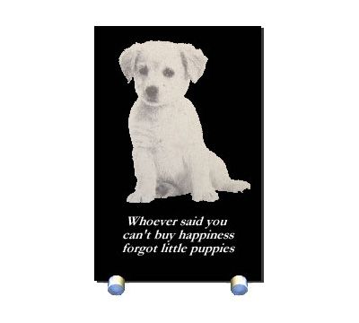 Laser Etched Marble Stone Pet Portrait