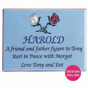 Stainless Steel Plaque with Glass Backing