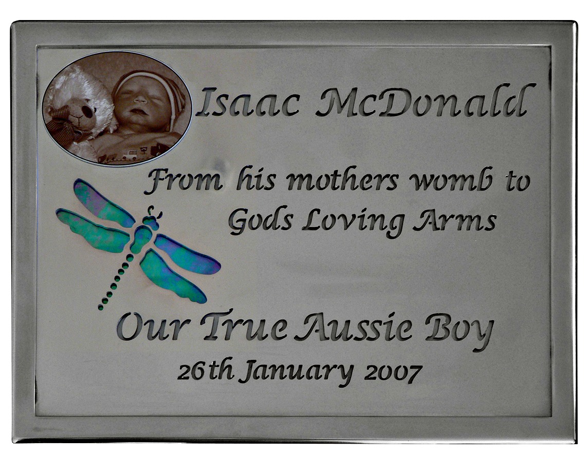 Stainless steel light reflective memorial with cut through lettering and dragonfly motif by Forever Shining