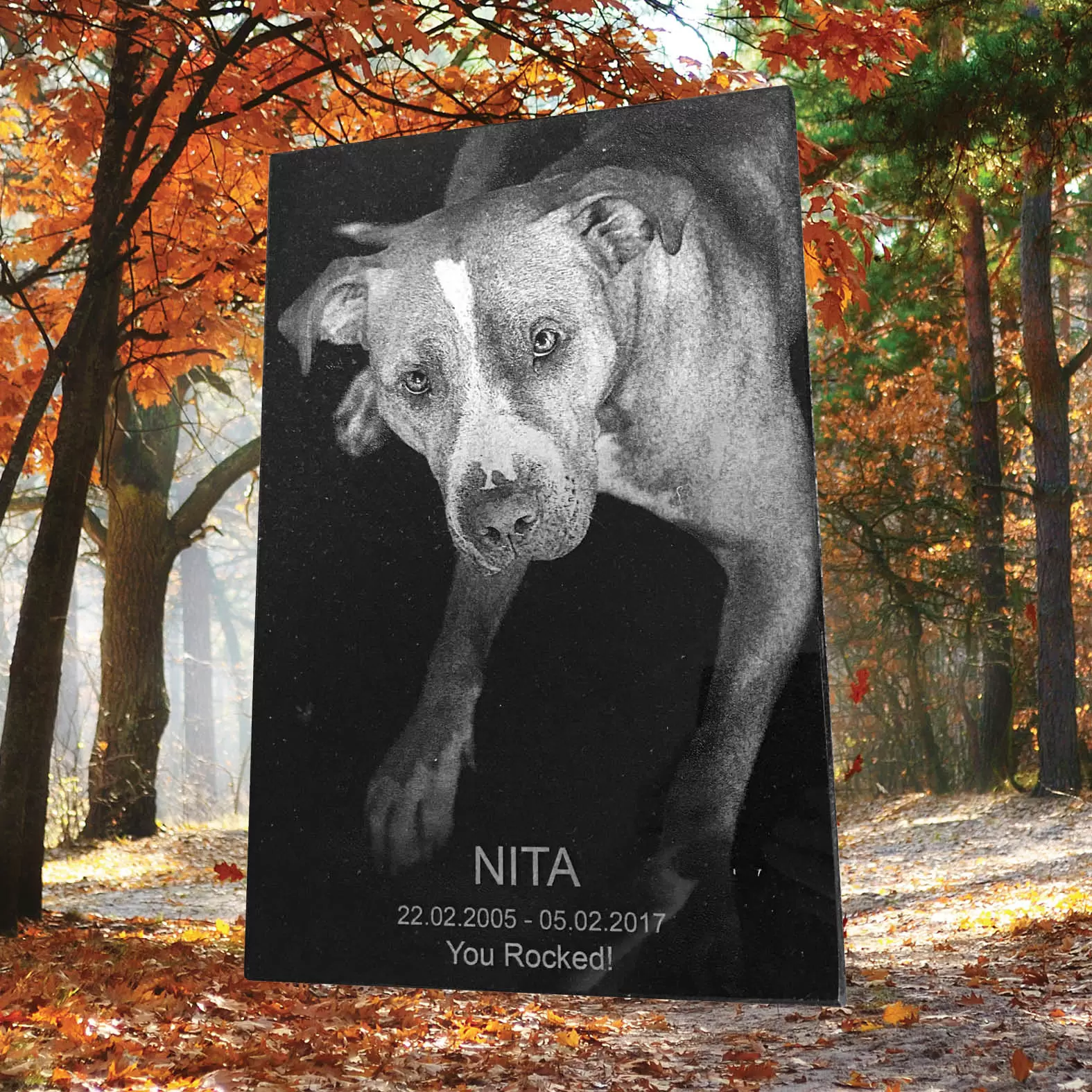 Laser etched granite pet portrait of a dog, Nita, by Forever Shining