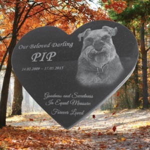 Buy Laser Etched Black Granite Pet Rock