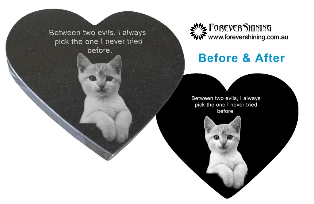 cat heart before and after.1