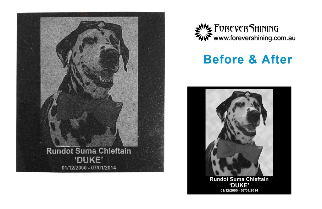 dog urn before and after.1